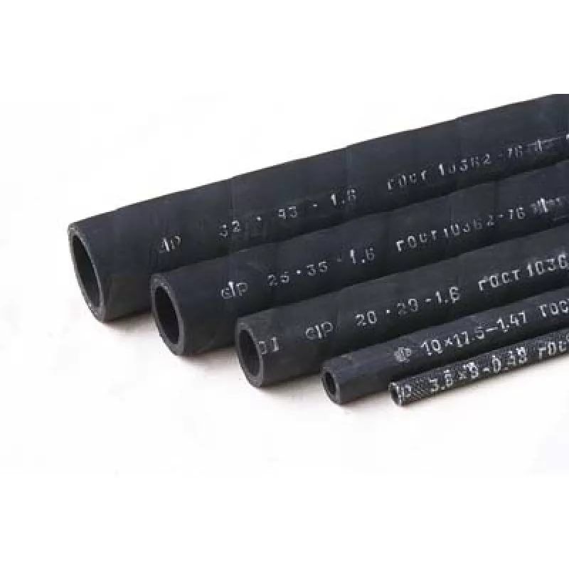 shlangi_mbs_343738563